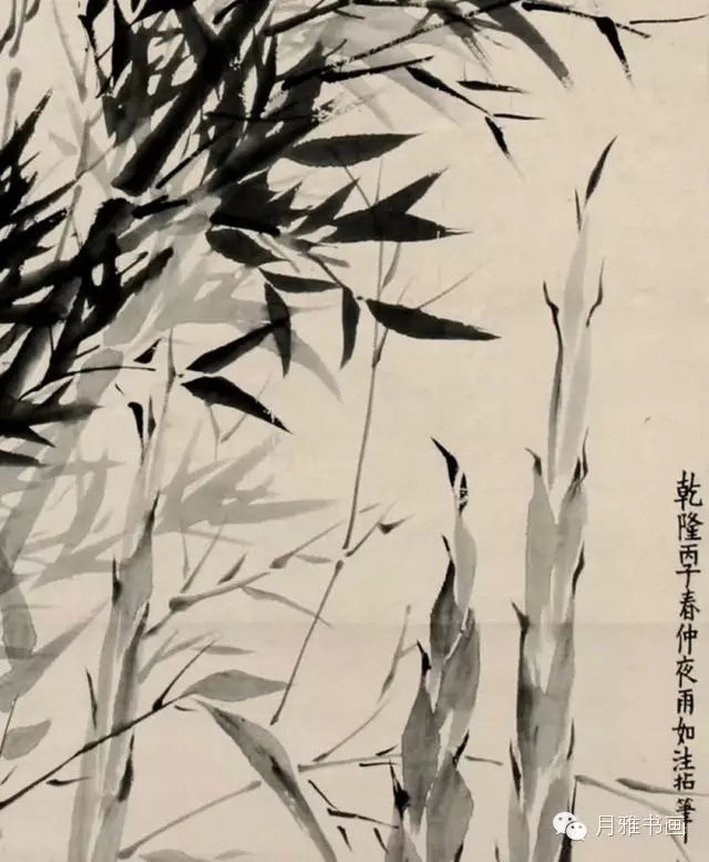 640(9).webp