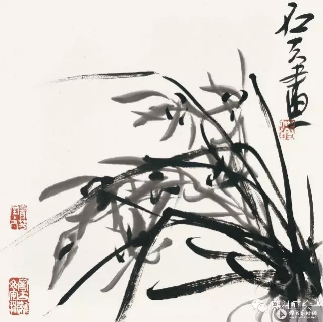 640(4).webp
