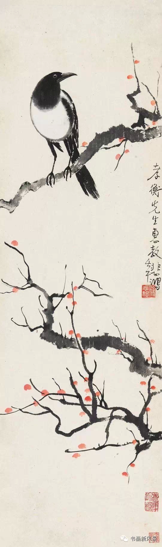 徐悲鸿画的喜鹊和小麻雀!