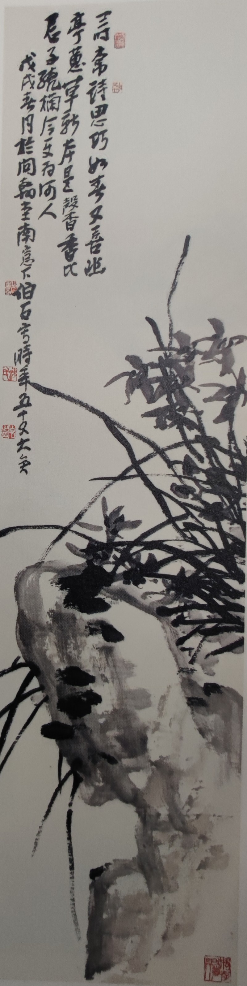 IMG_20240620_113640_副本