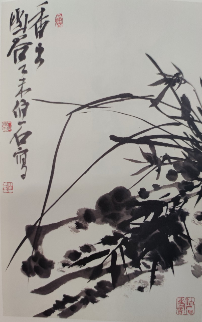 IMG_20240620_113836_副本